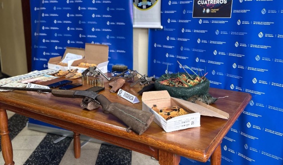 Desbarataron una red de contrabando de ganado hacia Brasil por U$S 5.000.000 y condenaron a tres responsables