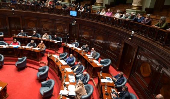 El Parlamento acord un proyecto nico para salvar la Caja de de Profesionales