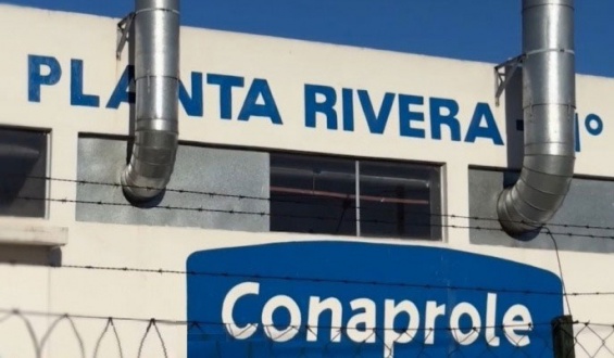 Se confirm la reapeartura de la planta 14 de Conaprole en Rivera desde este viernes