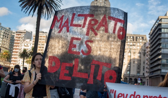 Desde el Instituto de Bienestar Animal reclaman mayor legislacin para la violencia contra los animales
