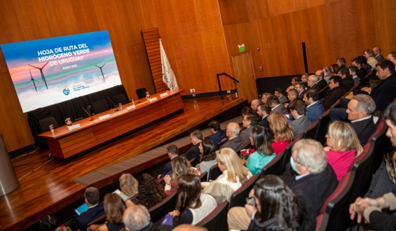 Intendente de Paysand calific como el mojn ms firme autorizacin de Ambiente para la localizacin de planta de hidrgeno verde