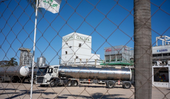 Claldy niega que haya efectuado despidos de forma antisindical