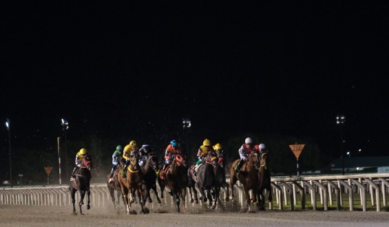 El caballo Native Extreme se qued� con el gran Premio Ram�rez en Maro�as