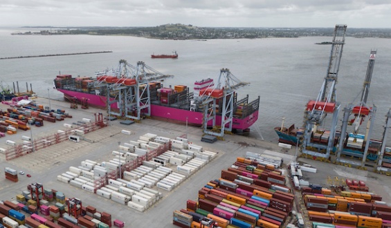 Oleggini: El acuerdo Mercosur- UE generar� en muchos productos una corriente exportadora que hoy no existe