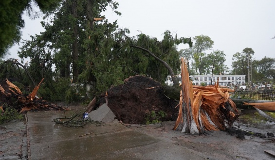 Cuarenta y dos familias fueron afectadas por el temporal que azot� a la localidad de Porvenir esta madrugada