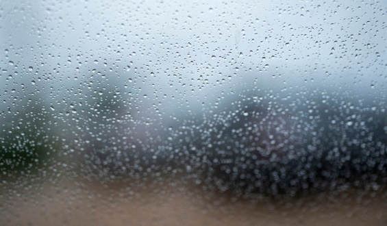 Durante la jornada el clima ser� inestable, ma�ana mejora y el fin de semana volear�n las altas temperatura 