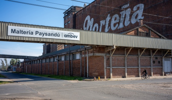 La multinacional AmBev enviar� al seguro de paro al 90 por ciento de sus trabajadores en Paysand� por dos meses