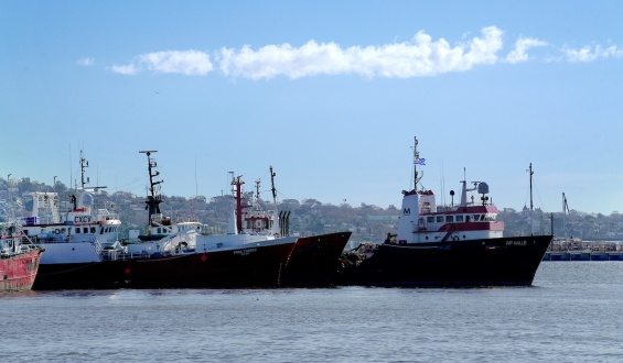 Pesqueras piden cese de prospecci�n petrolera