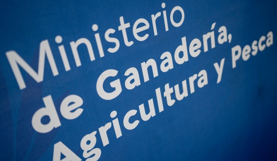 Confirmaron un nuevo caso de gripe aviar en una especie diferente en Lavalleja y suman siete en todo el pa�s