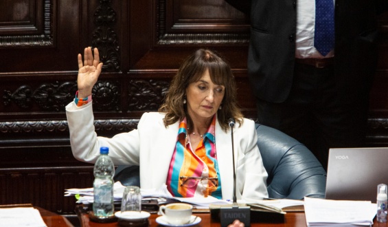 Senadoras nacionalistas buscan desarchivar un proyecto de ley que legalice la adopci�n prenatal y neonatal