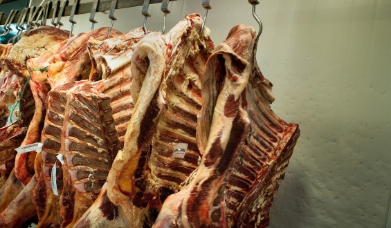 El frigor�fico Casablanca enviar� a m�s de 200 trabajadores al seguro de paro en Paysand� luego de la suspensi�n de la faena