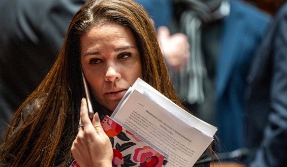 Mar�a Eugenia Rosell� critic� el presupuesto quinquenal de la Intendencia de Montevideo: �nos est�n tomando el pelo�