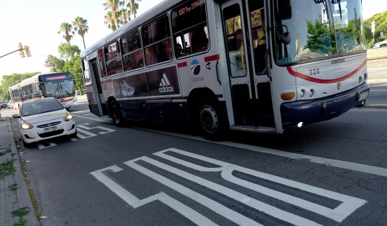 Habr� cambios en las frecuencias y los recorridos del transporte durante esta semana en Montevideo
