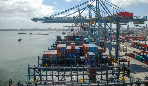 Esperan un aumento de las exportaciones durante este a�o, en comparaci�n con el 2025