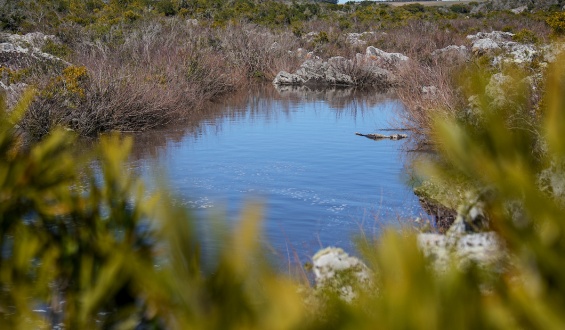 La Federaci�n Rural se opone a la creaci�n de una represa en Casup� porque perjudica la producci�n y el ambiente en la zona