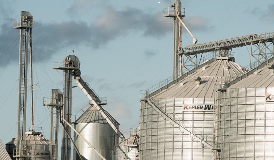 Arroz: entre el impulso de la nueva hidrov�a y la incertidumbre clim�tica de "El Ni�o"