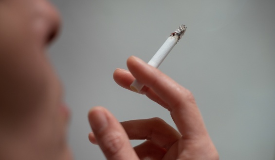 Unas 6.500 personas fallecen por a�o en el pa�s a ra�z del consumo de tabaco