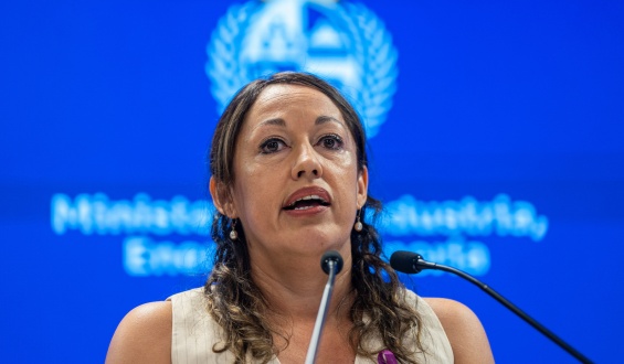 Fernanda Cardona confirm� que algunos combustibles podr�n subir y otros bajar en el ajuste que se decidir� para junio