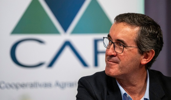 Desde Cooperativas Agrarias Federadas se est� expectante ante la negociaci�n por la cuota de exportaci�n de carne a Europa
