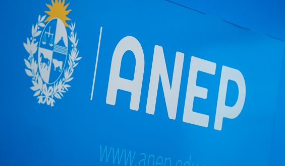 Grupo de m�s de 3500 profesores present� a la ANEP recursos administrativos contra la titulaci�n por saberes