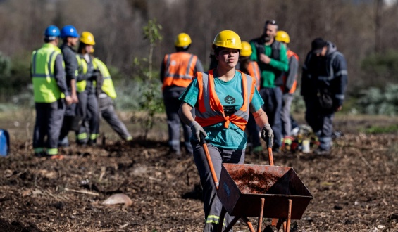 La Intendencia de Montevideo despleg� una segunda intervenci�n del programa Nuestro Barrio Limpio