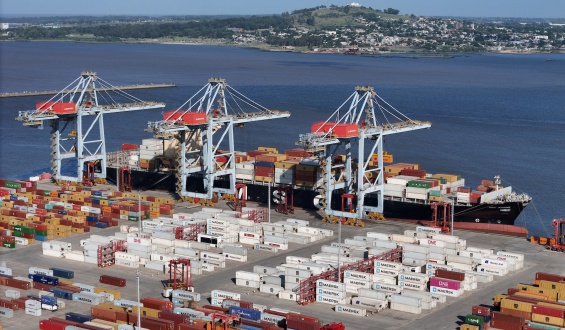 Se reaviva el conflicto en el puerto de Montevideo: Paro en Terminal Cuenca del Plata 
