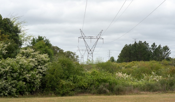Ute deber�a desembolsar un mill�n y medio de d�lares si instala la planta fotovoltaica en Fray Bentos