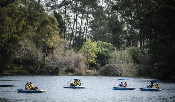Vecinos del Parque Roosevelt y Fauna Libre Uruguay se movilizaron ante la posibilidad de una tala de �rboles por parte de la Intendencia