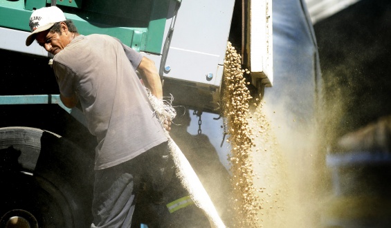 Exportaciones cayeron 16% respecto a agosto de 2025 principalmente por la sequ�a que afect� a los cultivos de soja