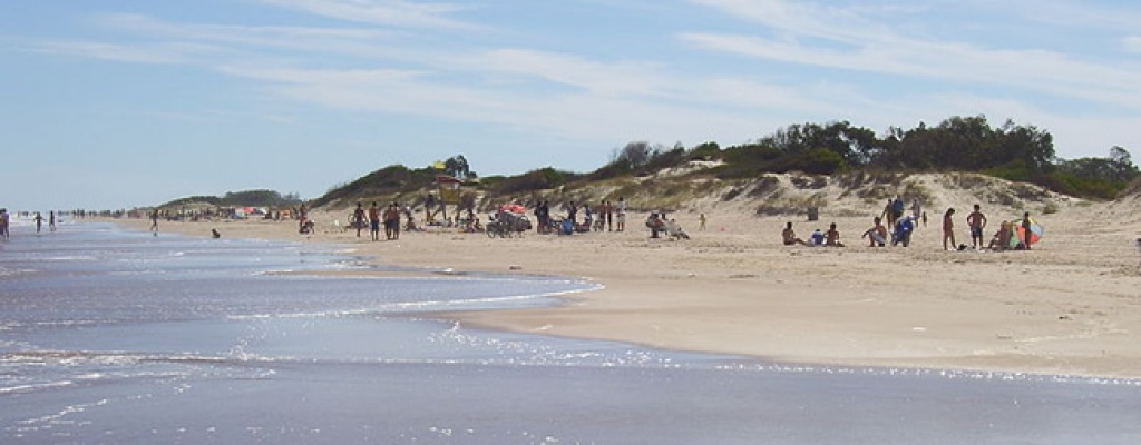 70 funcionarios de la Intendencia de Canelones limpian los peces muertos en las playas