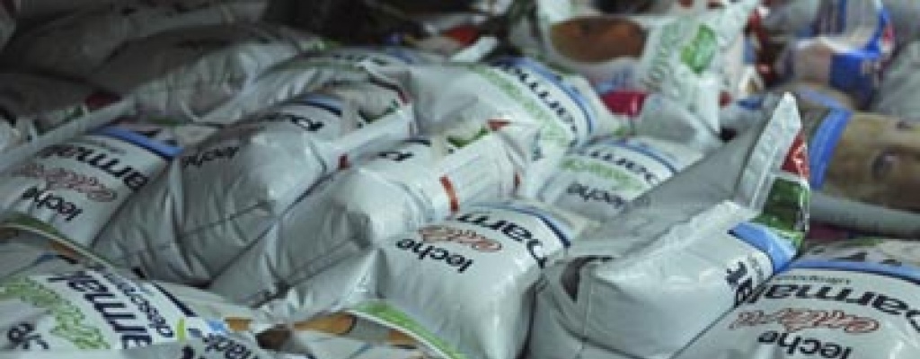 Trabajadores de la Industria L�ctea realizar�n paro el jueves 26