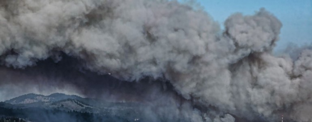 Detienen avance de importante incendio forestal en Valpara�so