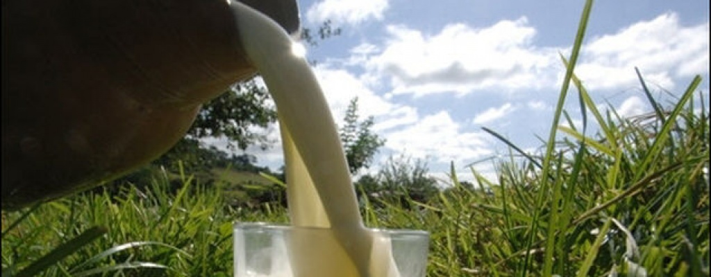 Bolivia compra leche a firma peruana para venderla a cr�dito a Venezuela