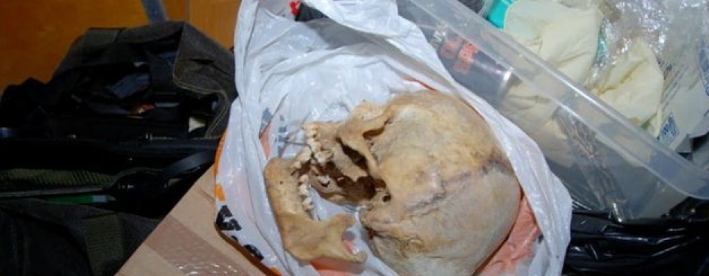 Se hallaron huesos presuntamente humanos en San Carlos