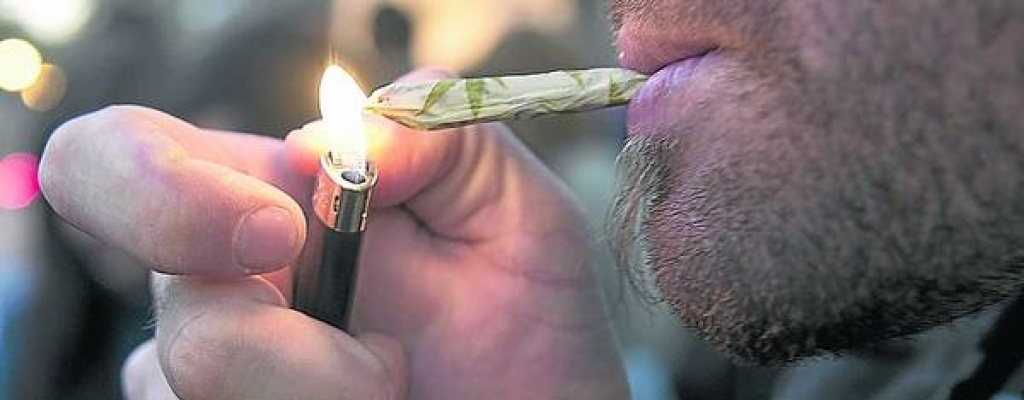 Instituto del Cannabis agiliz� el tr�mite para el registro de clubes de cultivadores