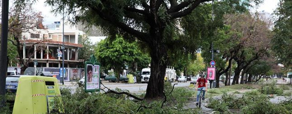 Temporal de viento y lluvia caus� destrozos en Buenos Aires