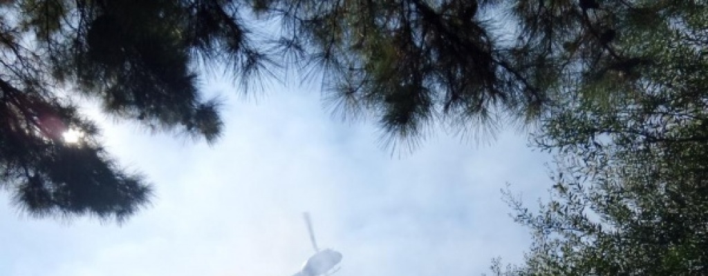 Bomberos sofoca incendio en Punta Ballena y fue desalojado el hotel de ese lugar