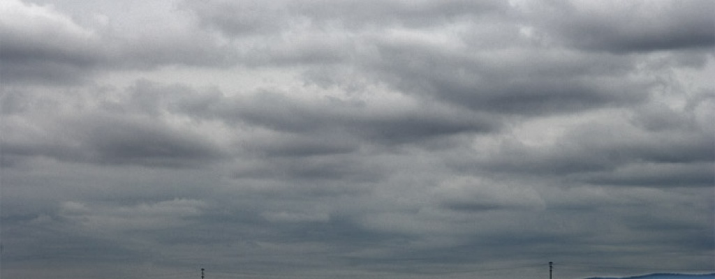 Productores: "Es una medida oportuna" la ampliaci�n de la emergencia agropecuaria a Canelones y Florida