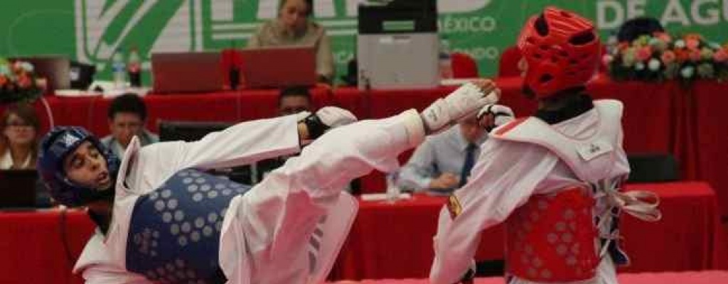 Selecci�n de Taekwondo se encuentra en Rusia por el mundial