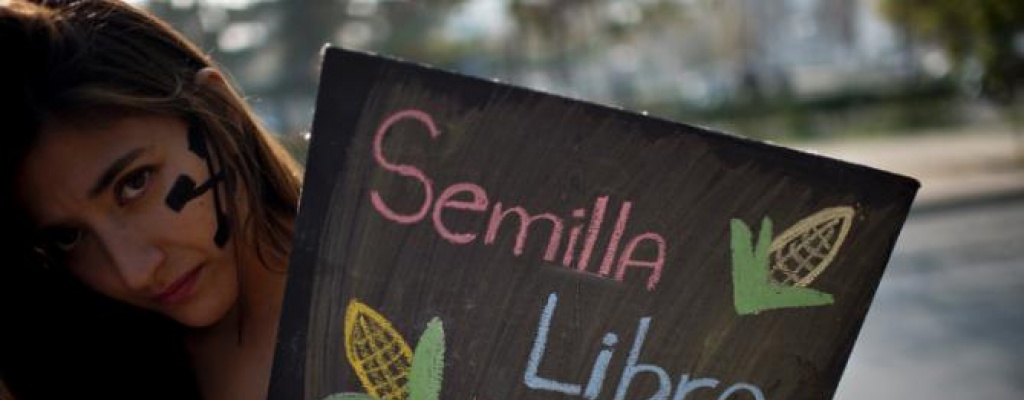 Manifestaci�n exige la salida de multinacional Monsanto de Chile