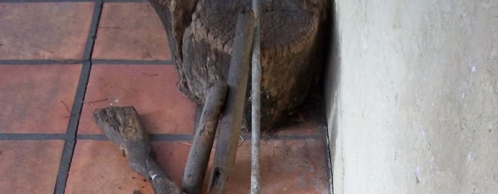 Cu�ada de Mujica: "Usaron el Gobierno para esta basura de decisiones cobardes, entreguistas y claudicantes"