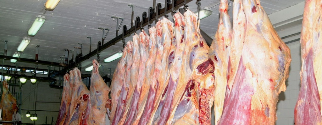 Exportaci�n de productos c�rnicos creci� 6 % y alcanz� U$S 692 millones hasta mayo