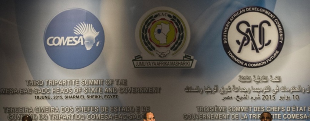 Veintis�is pa�ses africanos firman tratado de libre comercio