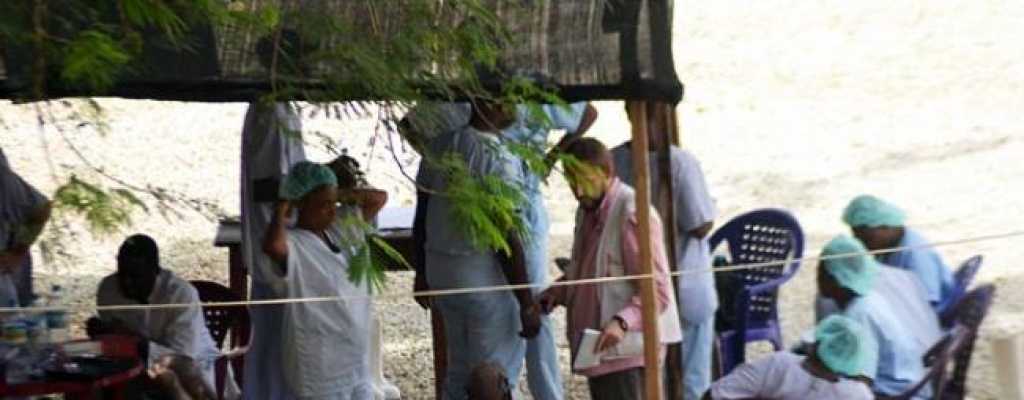 OMS: 400 millones de personas sin acceso a servicios b�sicos de salud