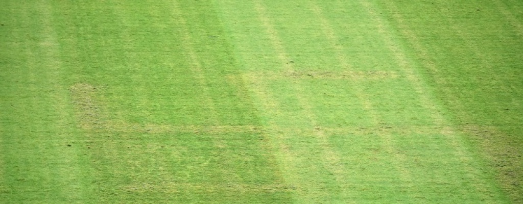 Croacia pide disculpas por aparici�n de ev�stica dibujada en c�sped