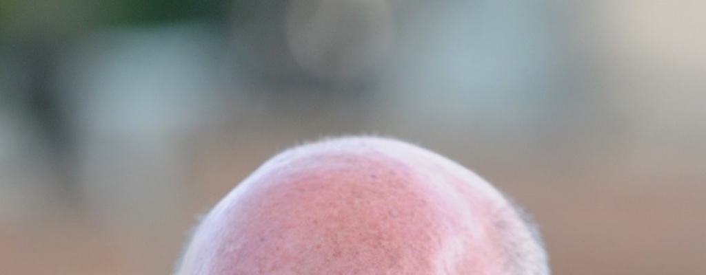 Partido de la Concertaci�n acept� participar del di�logo para alcanzar acuerdos program�ticos con el FA