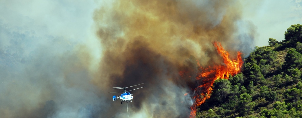 Incendio arras� m�s de 10.000 hect�reas en Andaluc�a
