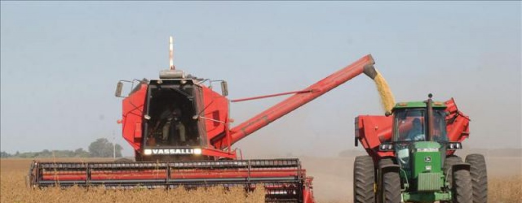 Cosecha de soja este a�o alcanzar� entre 3,2 y 3,5 millones de toneladas