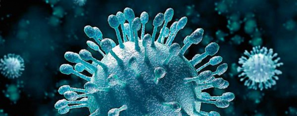 Hasta 60 mil uruguayos podr�an estar afectados de Hepatitis C