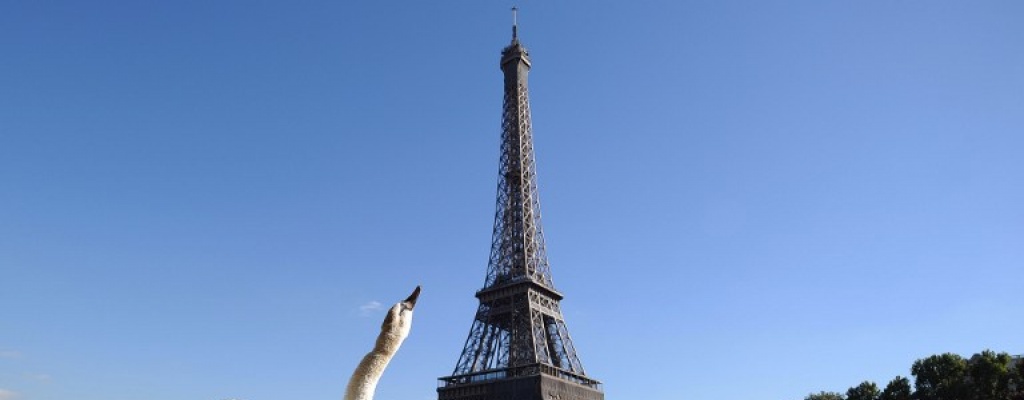 Torre Eiffel cerrada al p�blico por intento de ingreso ilegal